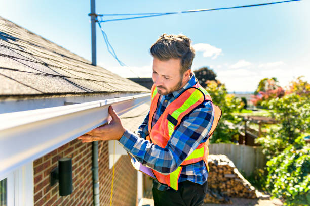 Best Roof Insulation Installation  in Cut Bank, MT